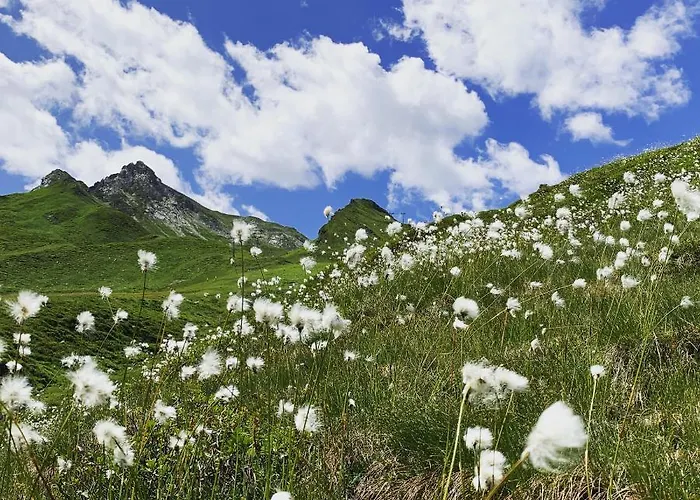 Apartmán Am Doerfl *