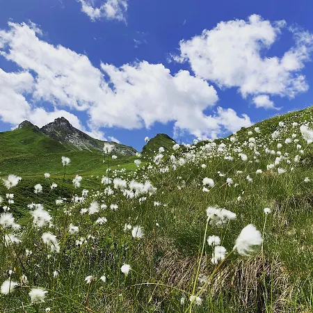 アパート Am Doerfl *